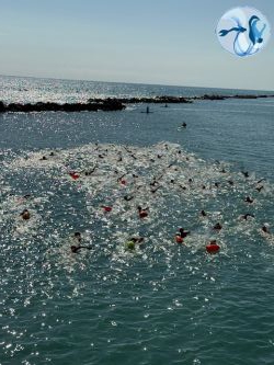 SirensSwim2025 (3).jpg